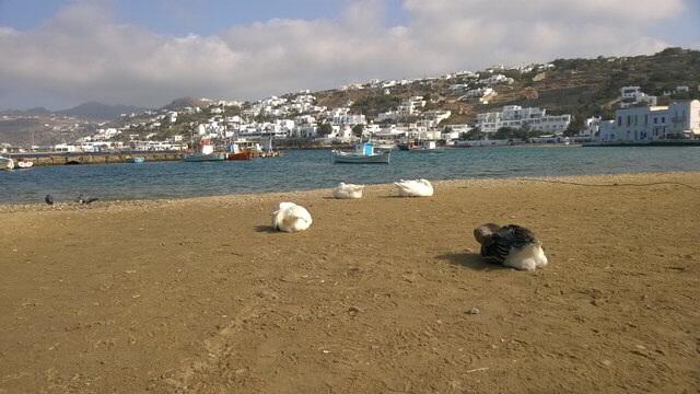 m mykonos1